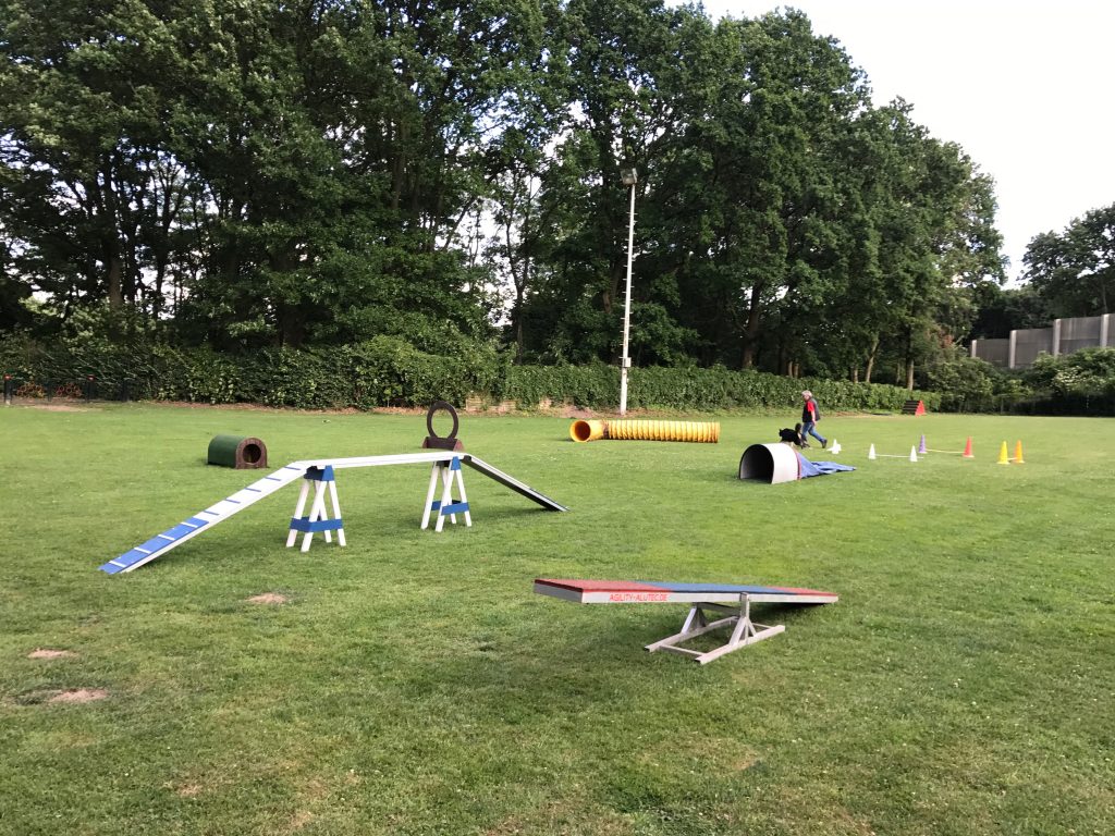 Agility-Parcours
