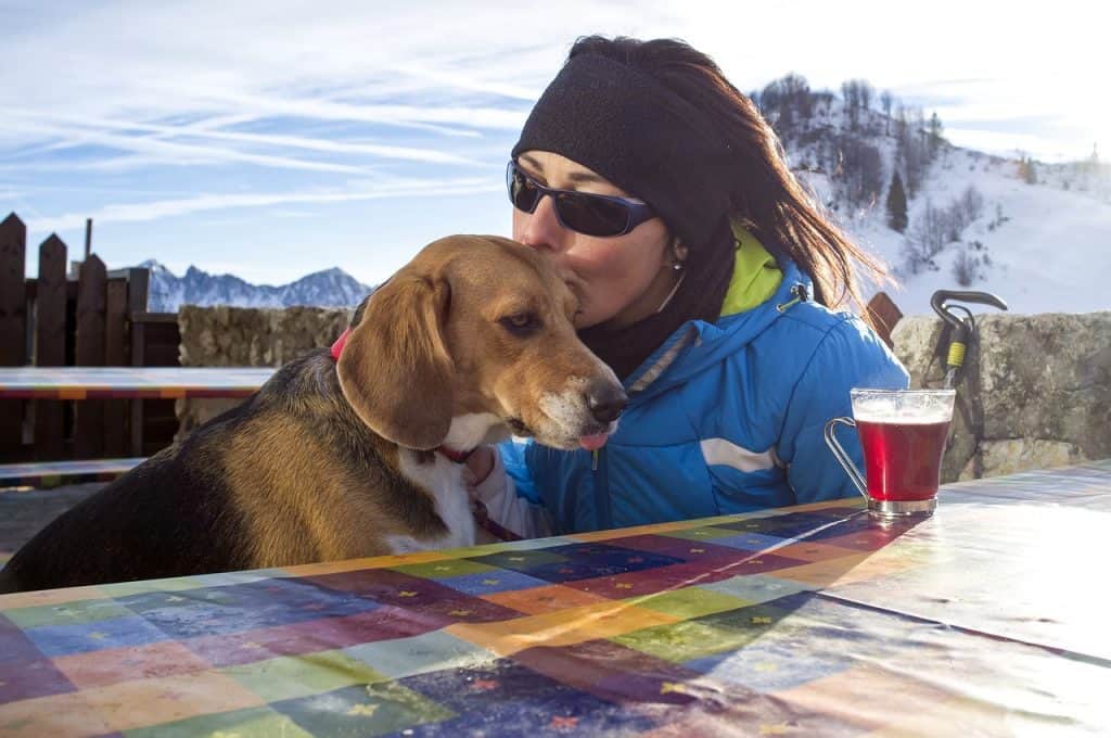 Winterpause in der Hundeschule