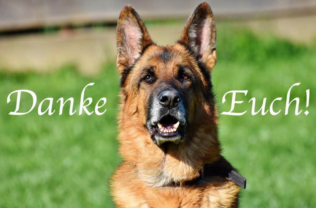 Danke für Eure Spenden